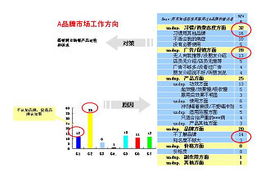 市场调查研究 洞察商机、驱动决策——以豪森威为例